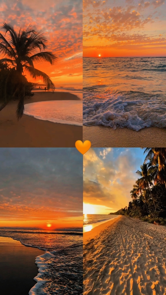 2 videos y 2 fotos 