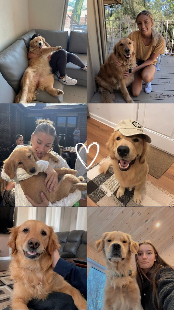 Happy National Dog