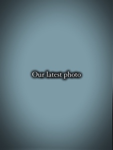 Cover Picture