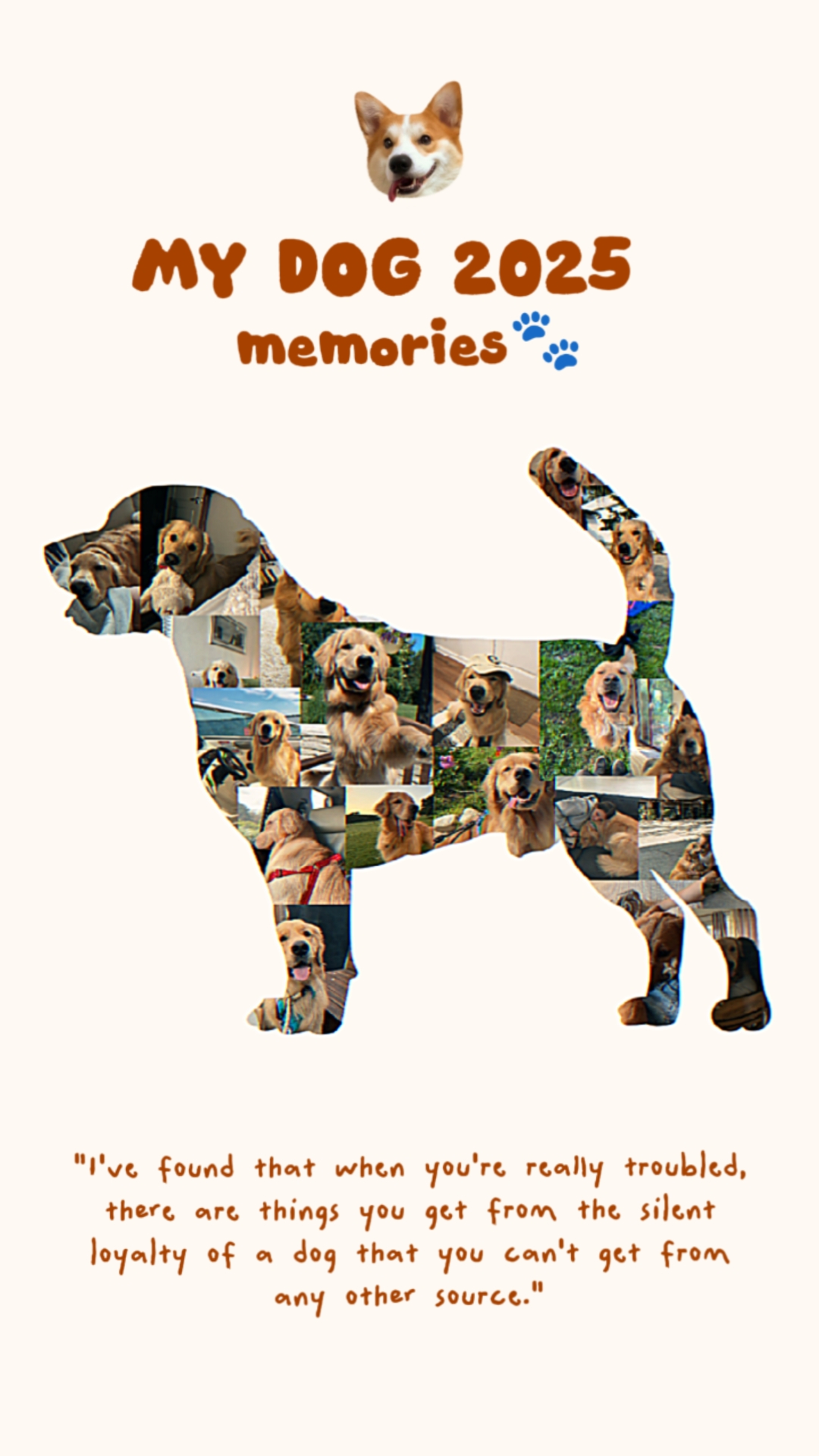 my dog memories 