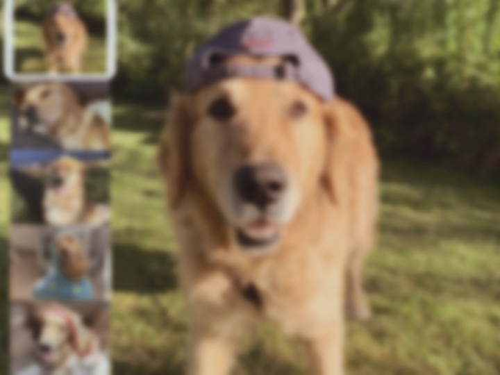 memories with my dog