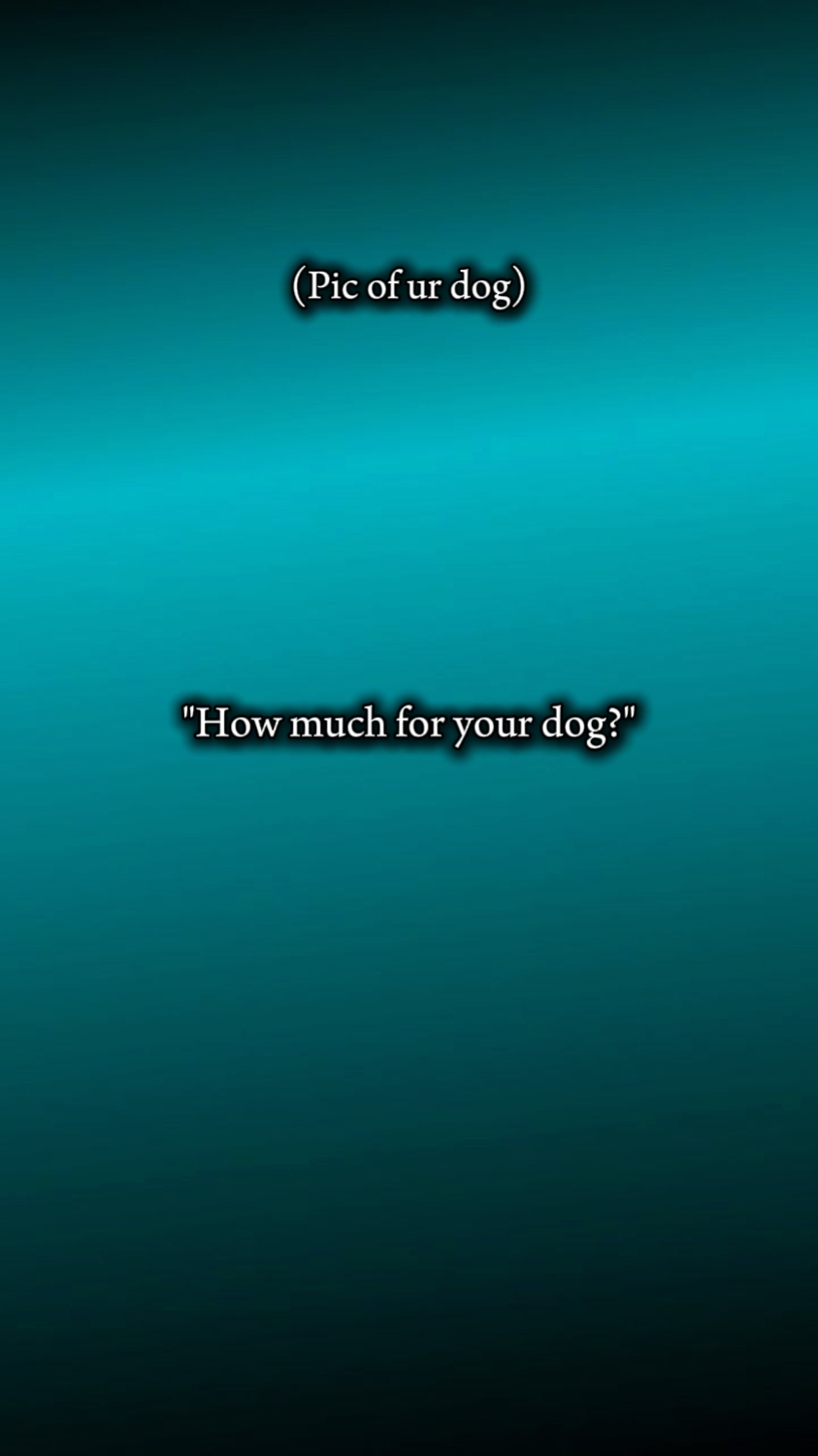 dog
