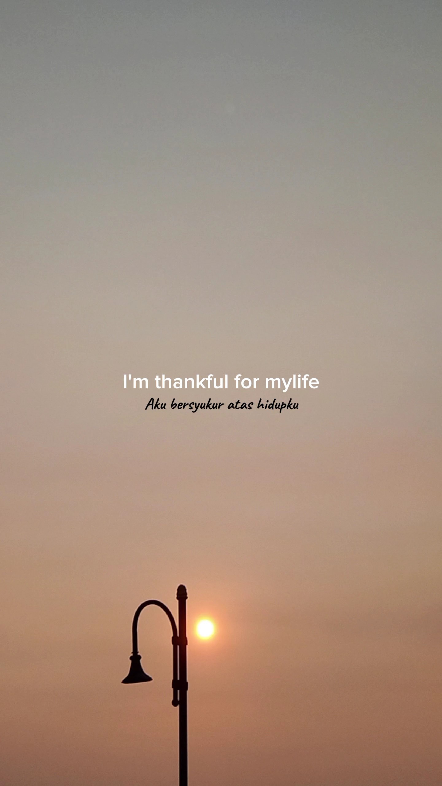 thankful for my life