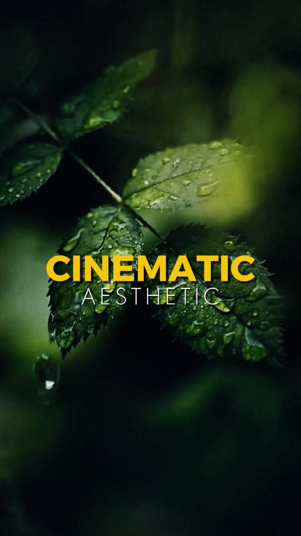 cinematic aesthetic