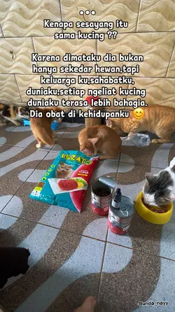 Sayang kucing