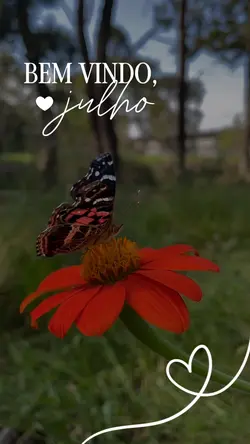 JULHO