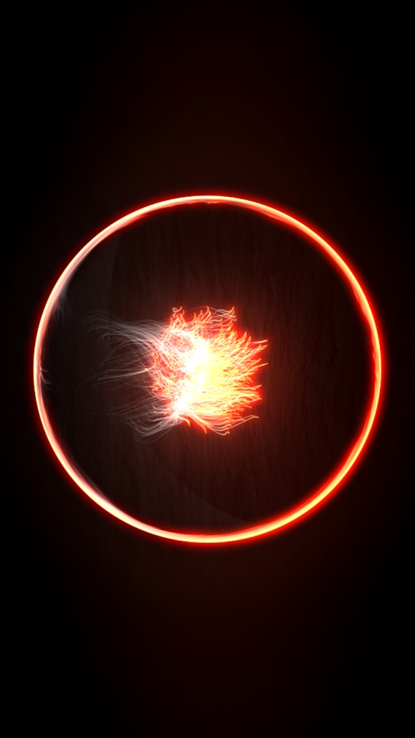 solar portrait