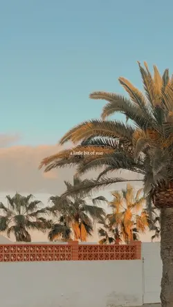 a little bit of sun