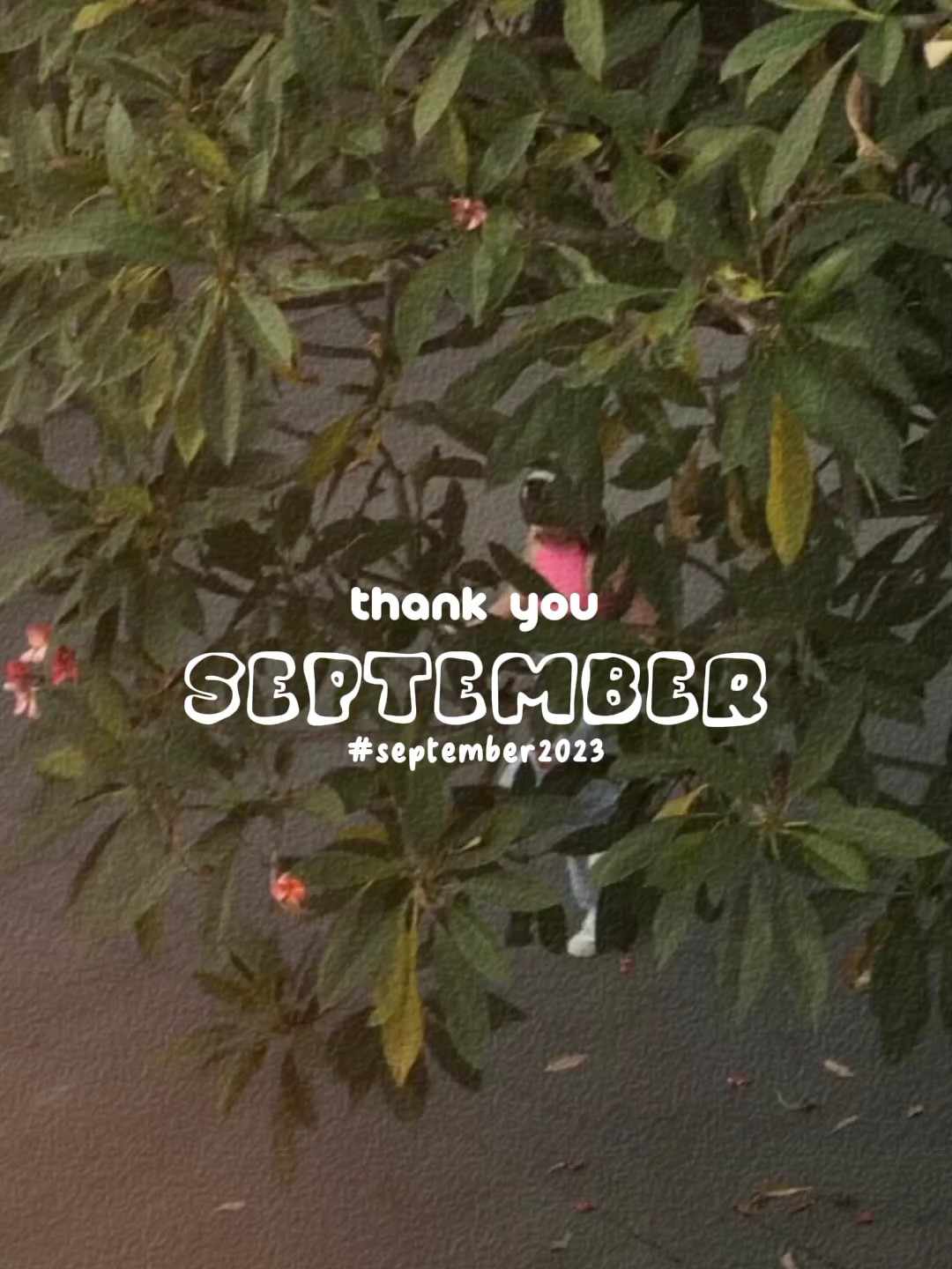 Obrigado setembro 
