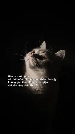 Caption & Màu