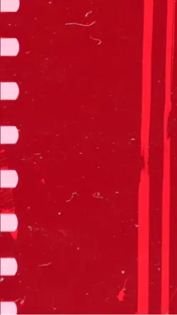 私の映画風