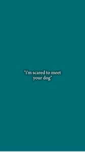 scared to meet mydog