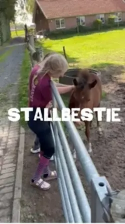 Stallbestie
