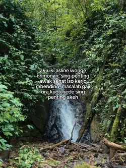 aku iki asline wonge
