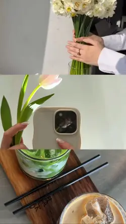 3 grid videos