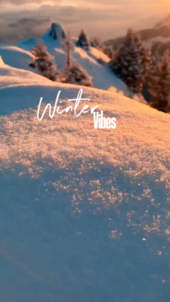 Winter Vibes