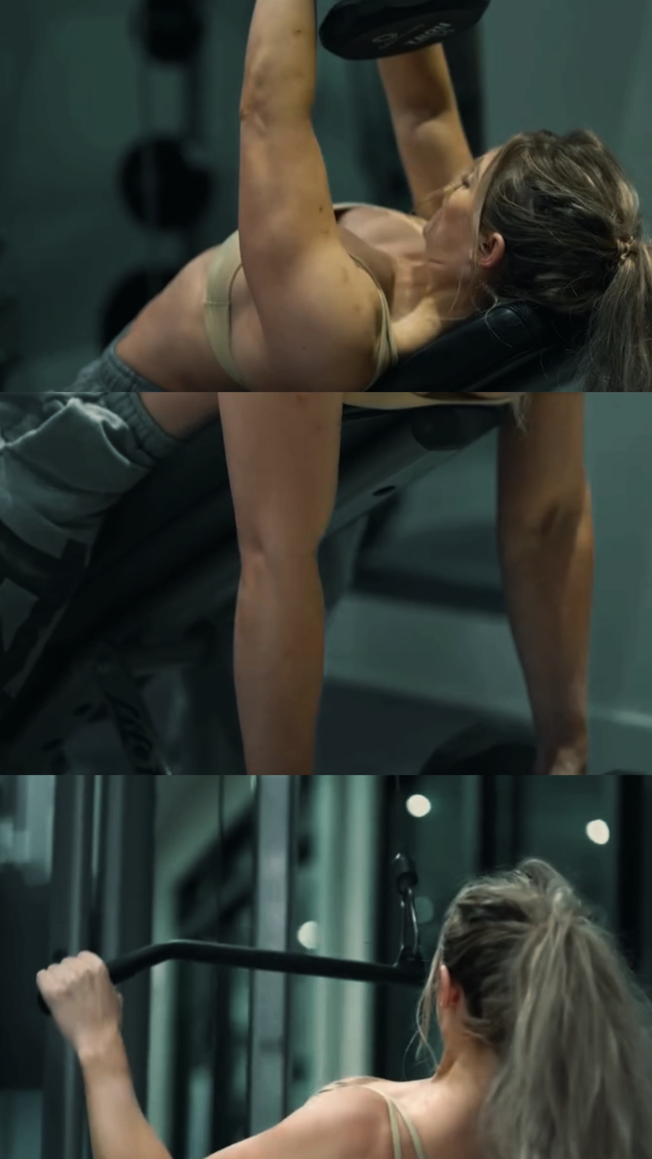 GYM TEMPLATE⚡️