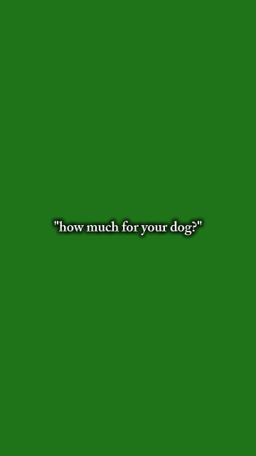 combien 4 votre chien