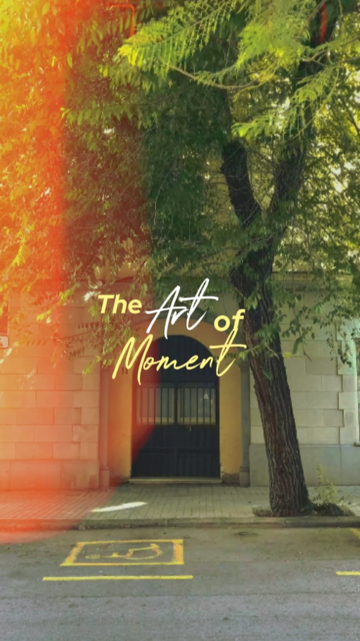 TheMomentOfArt