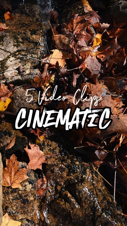 5 video clips 