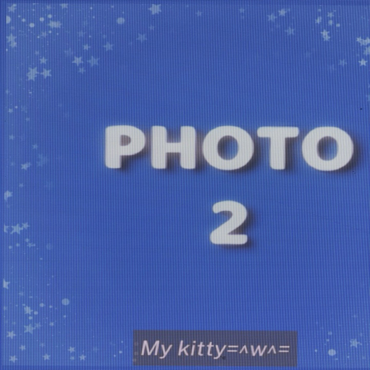 My kitty