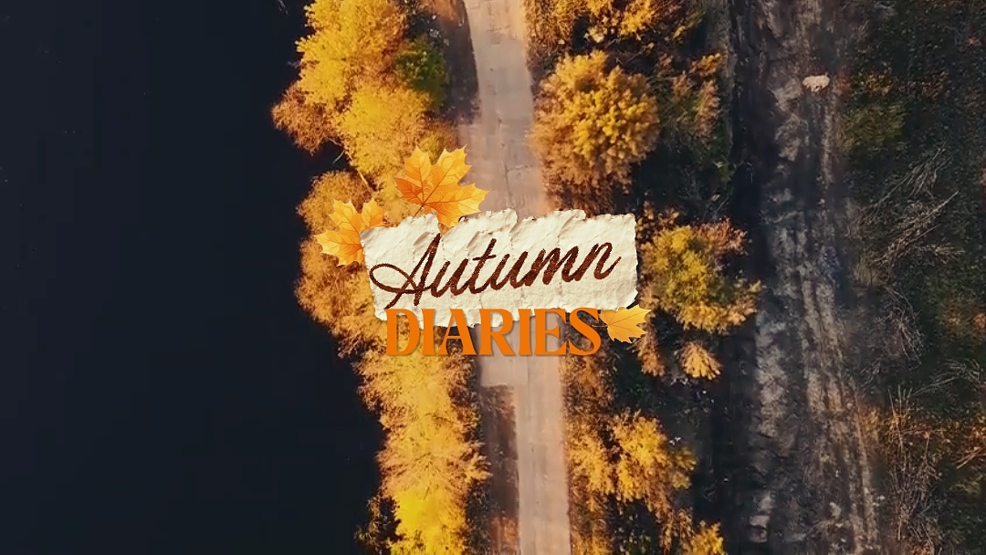 Autumn diaries 