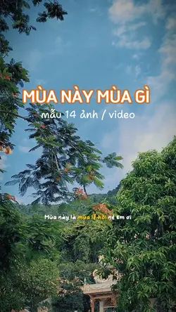 MÙA NÀY MÙA GÌ THẾ