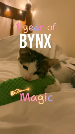 Bynx Magic 🪄 