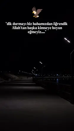 Yeni şablon