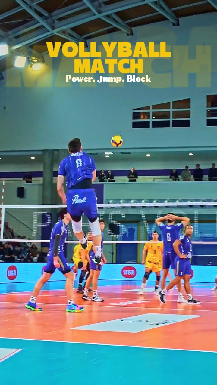 Partido De Voleibol