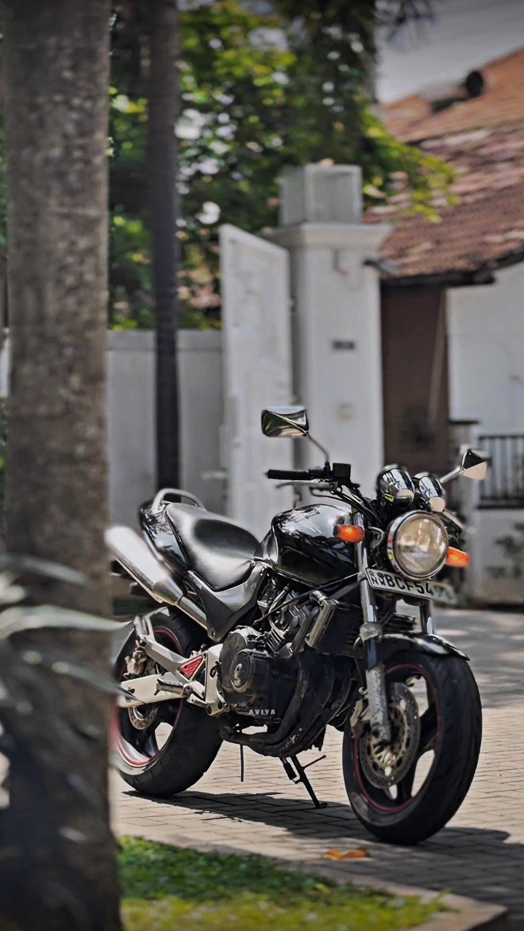 Cover Picture
