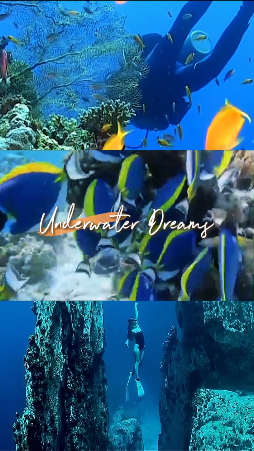 Unterwasser-Träume 
