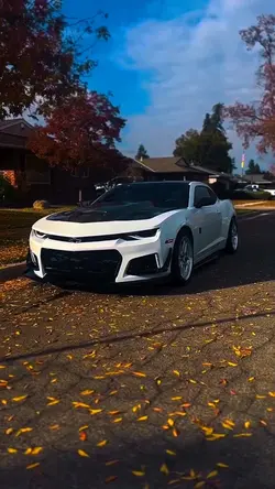 CINEMATIC TRANSITION