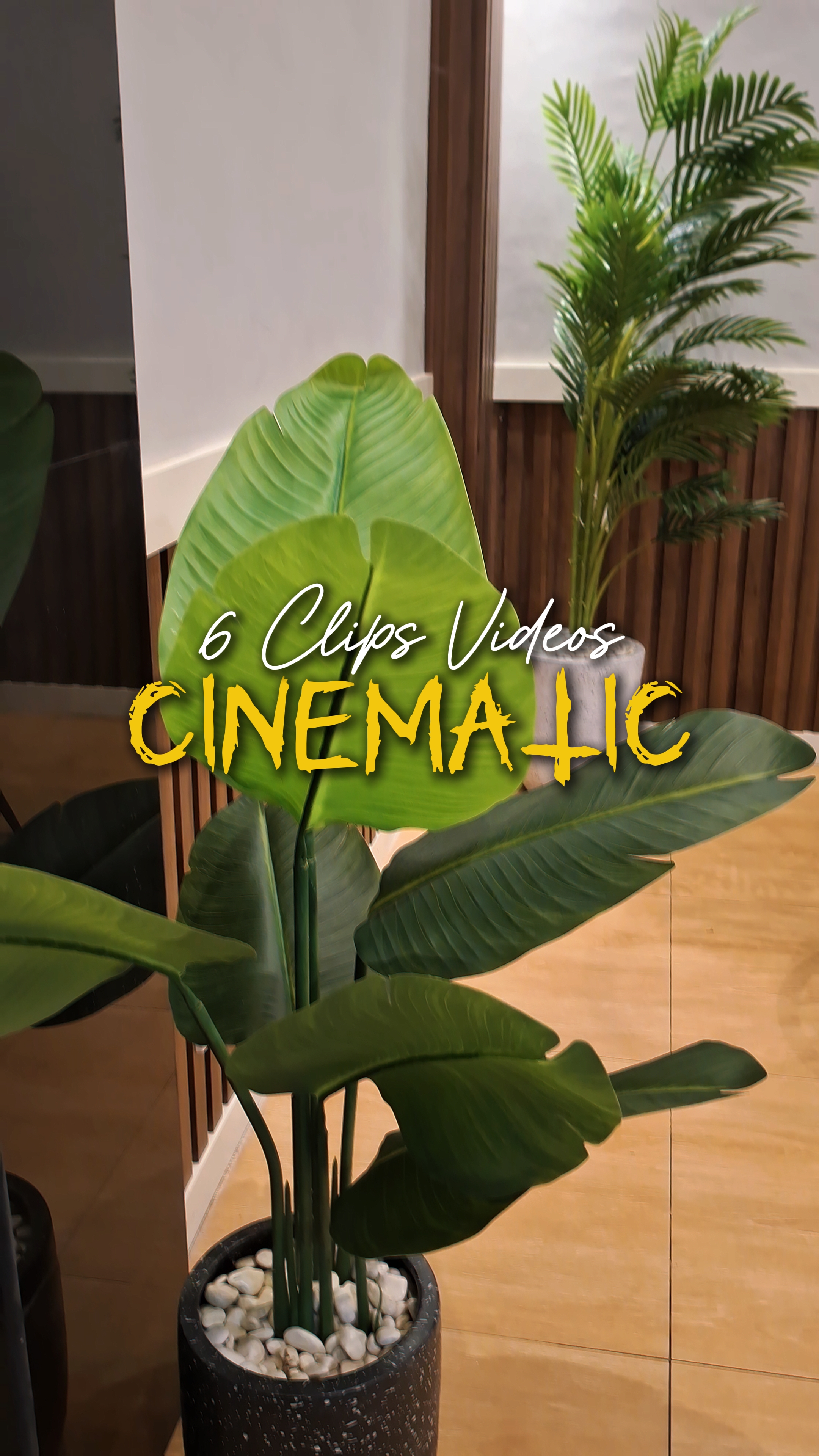 Cinematic 6 Videos