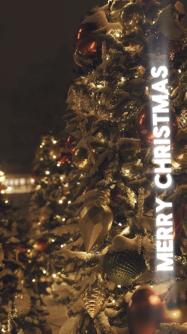 Frohe Weihnachten❤️