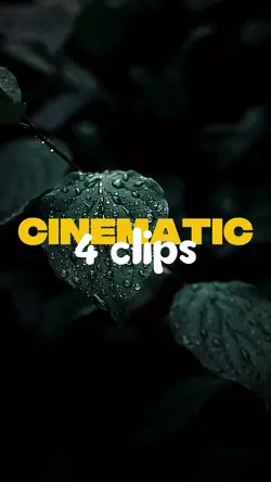CINEMARIC 4 CLIPS