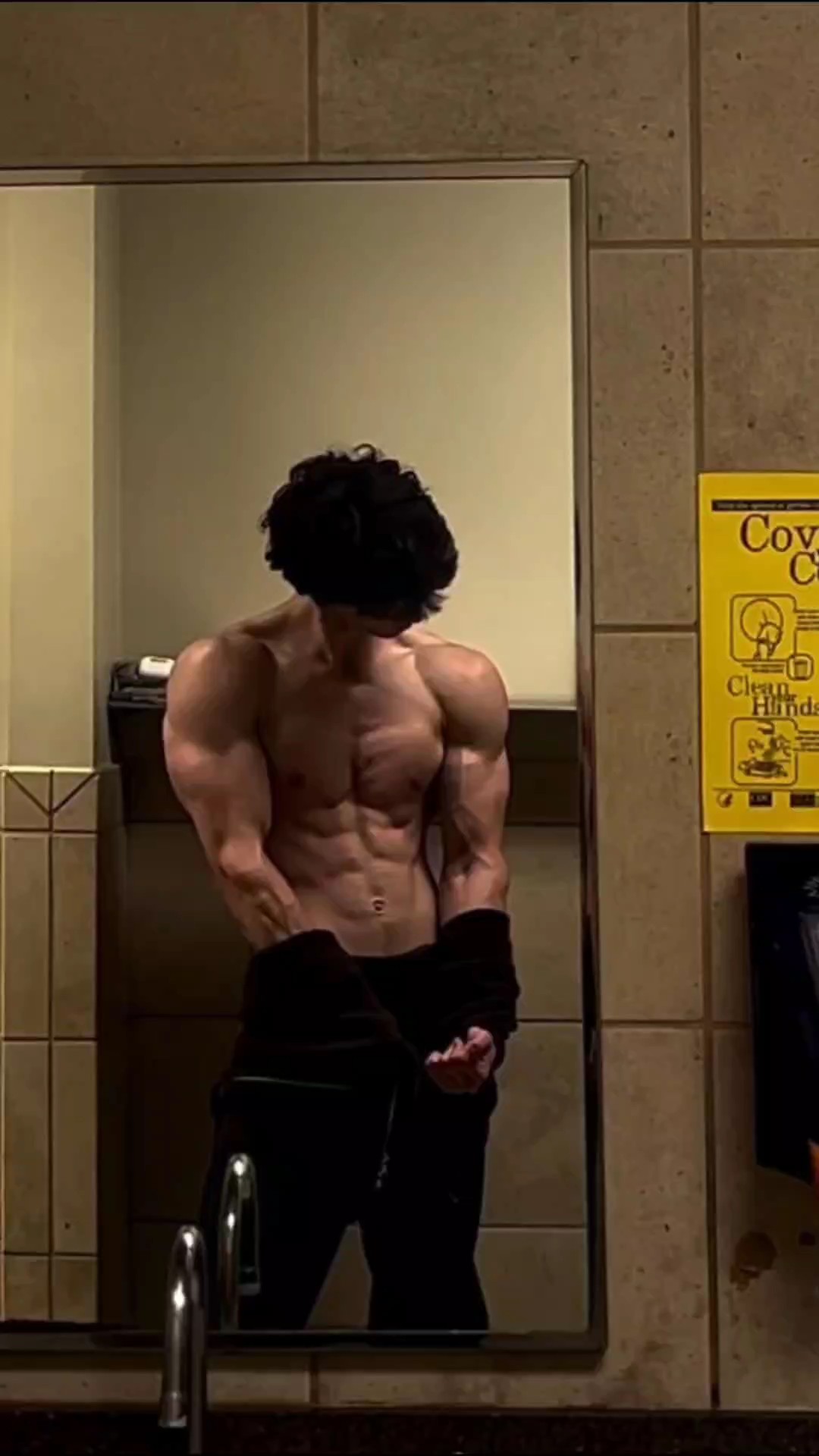 gym templates 