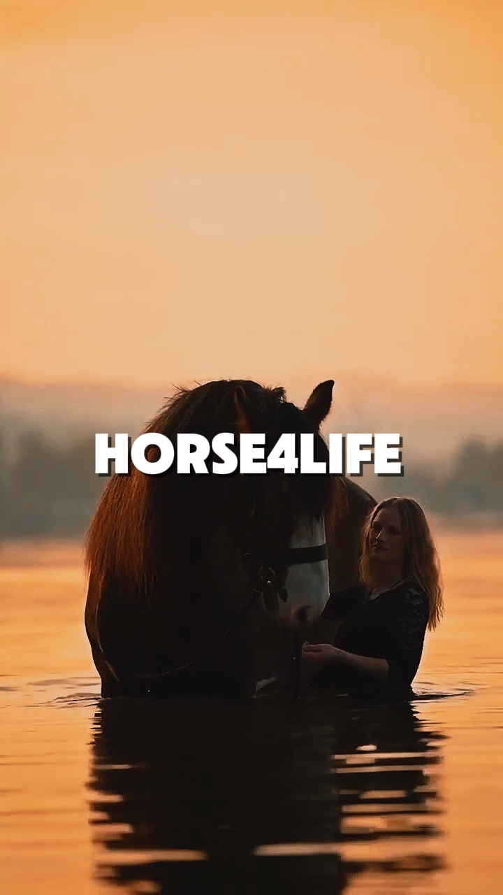 Vida de caballo 