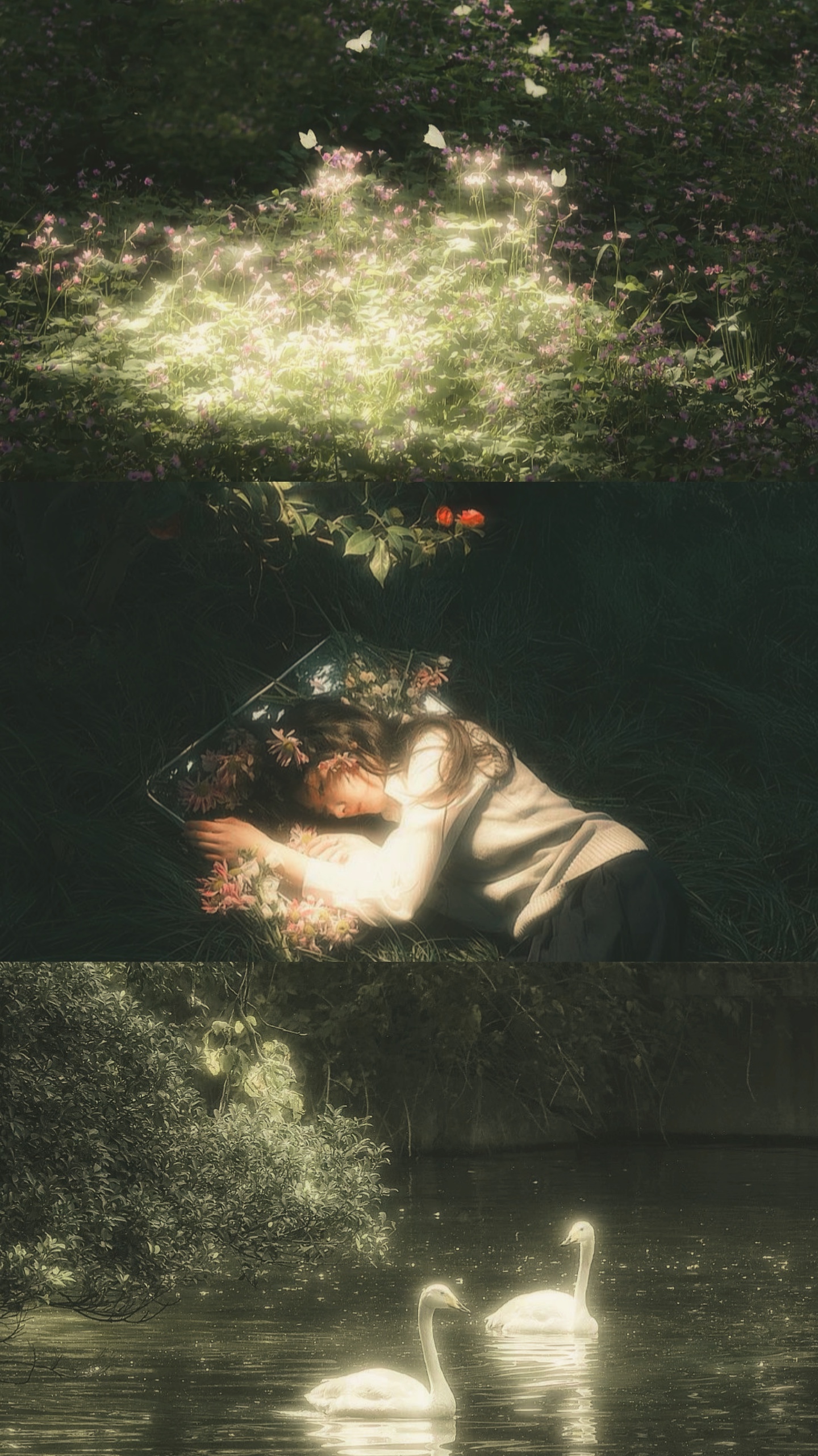 3 photo aesthetic 