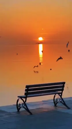 Slowmotion video πβ¨