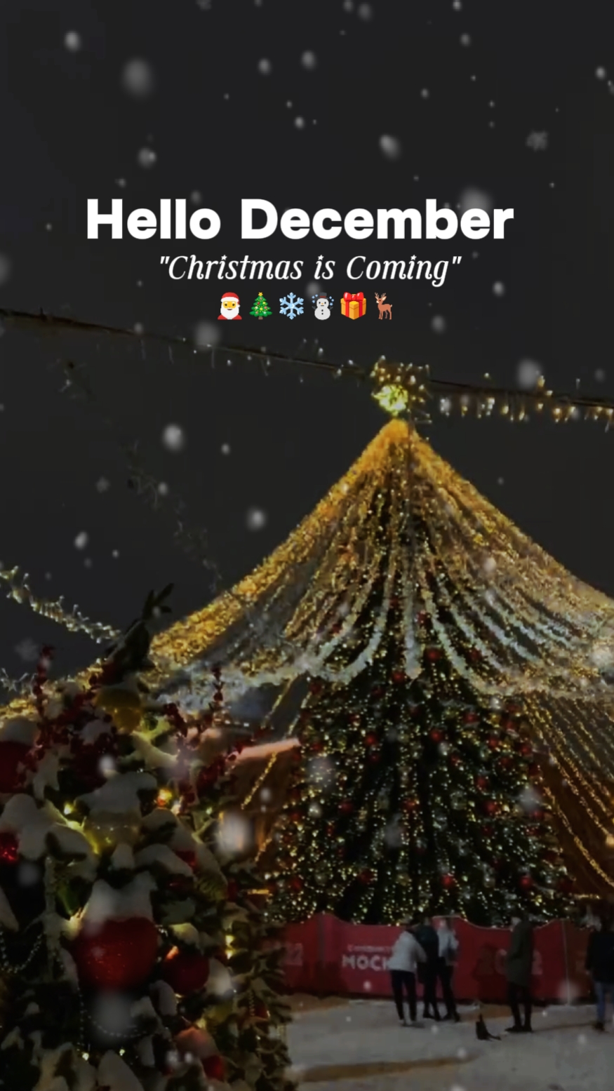 Christmas is coming 
