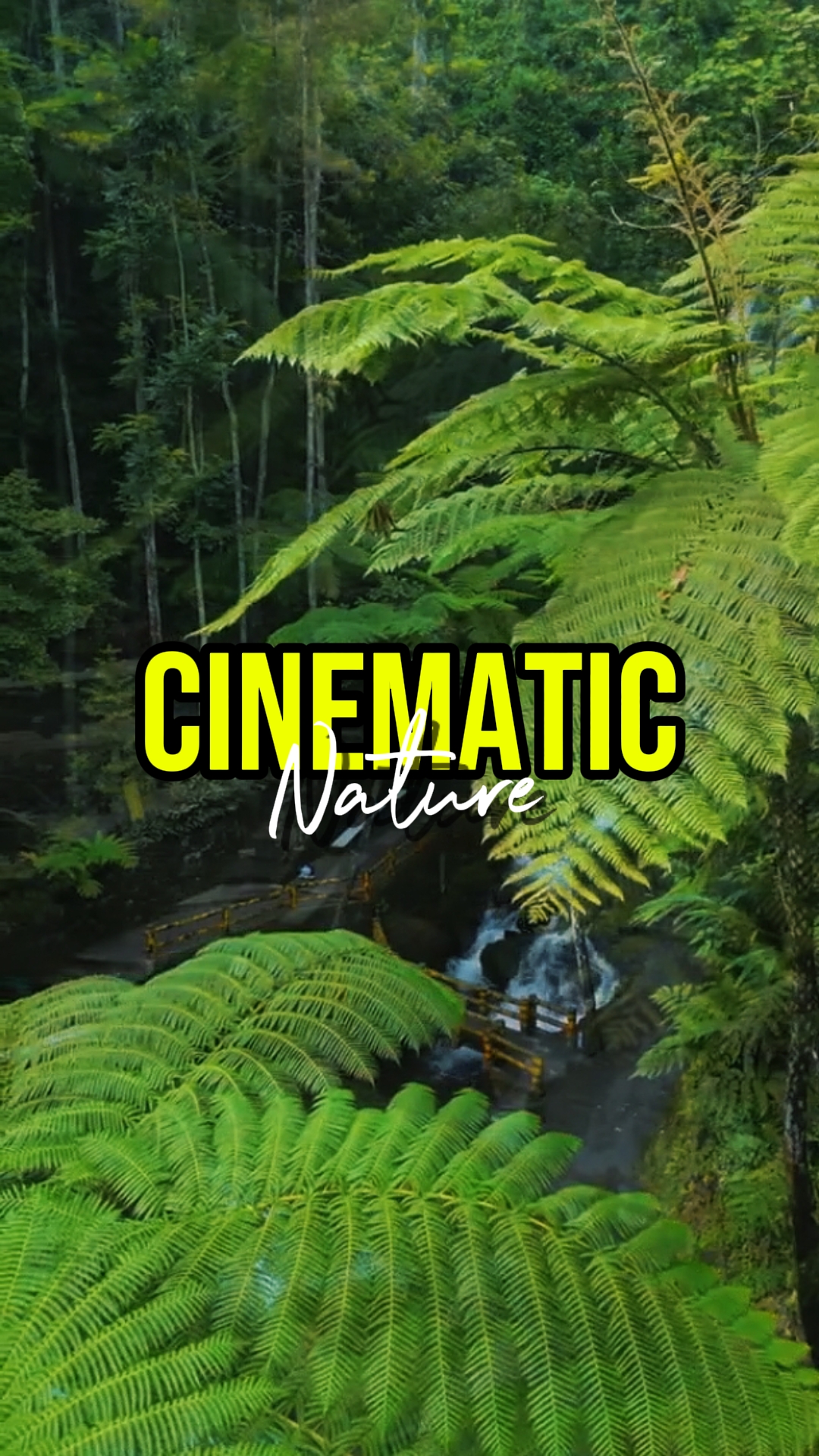 CINEMATIC NATURE