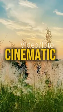 6 Clips Video 