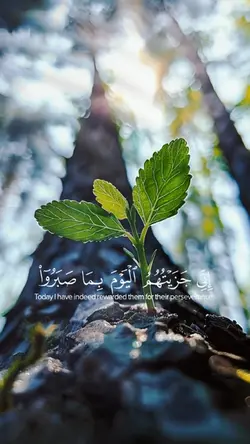 قران كريم 🎧❤️