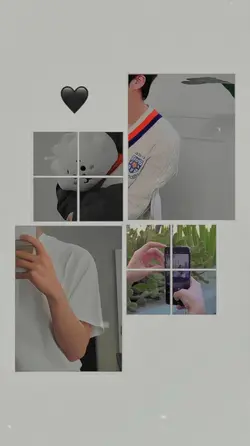 FRAME ESTETIK