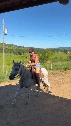 Roça / pecuária