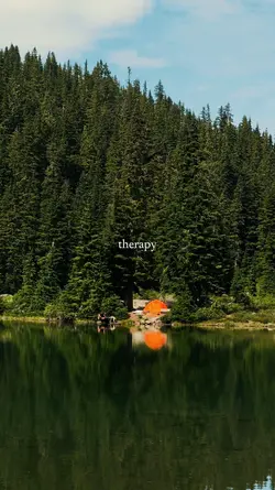 Therapy