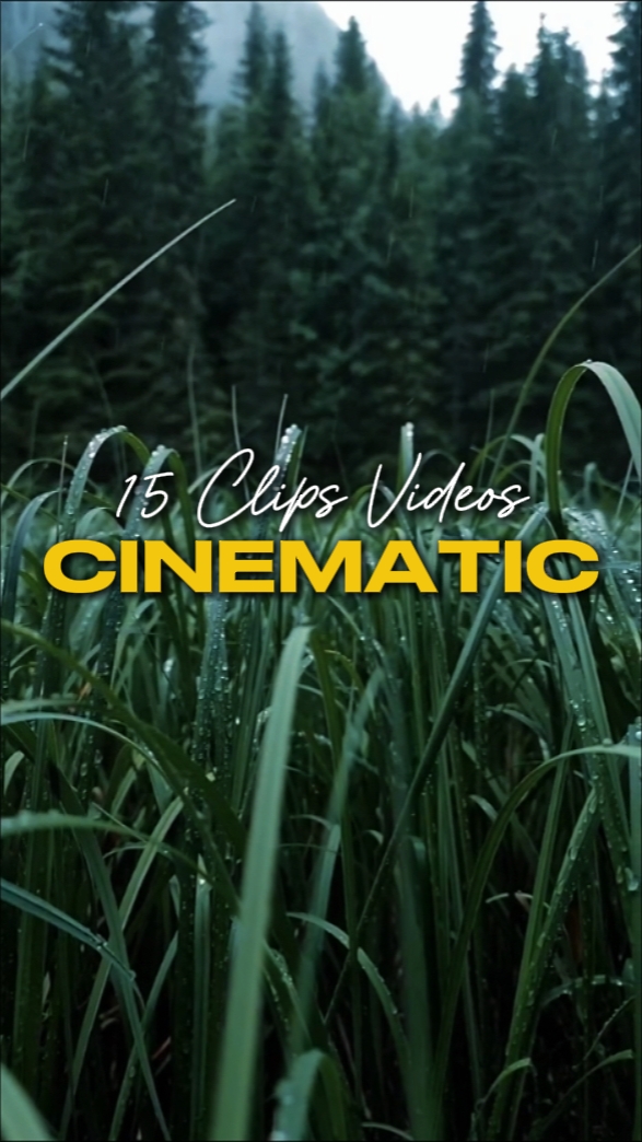 CINÉMATIQUE 15 VIDÉOS