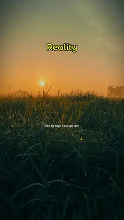 Reality