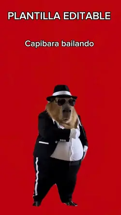 Capibara bailando 